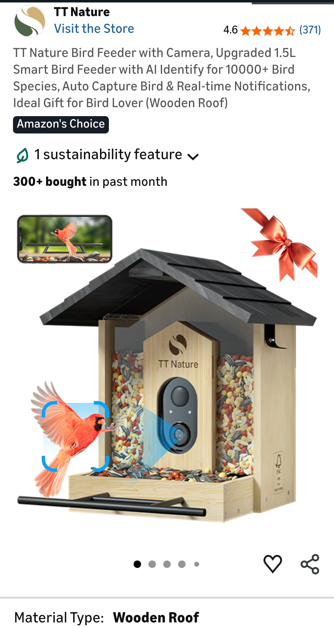 Bird Feeder
