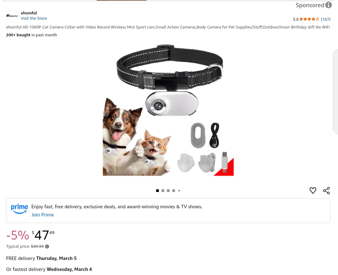 cat camera collar