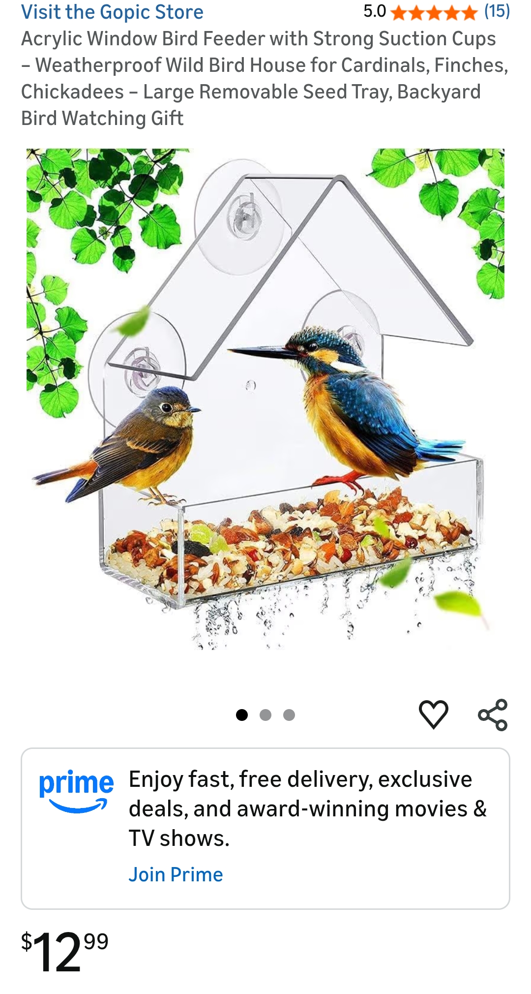 window bird feeder