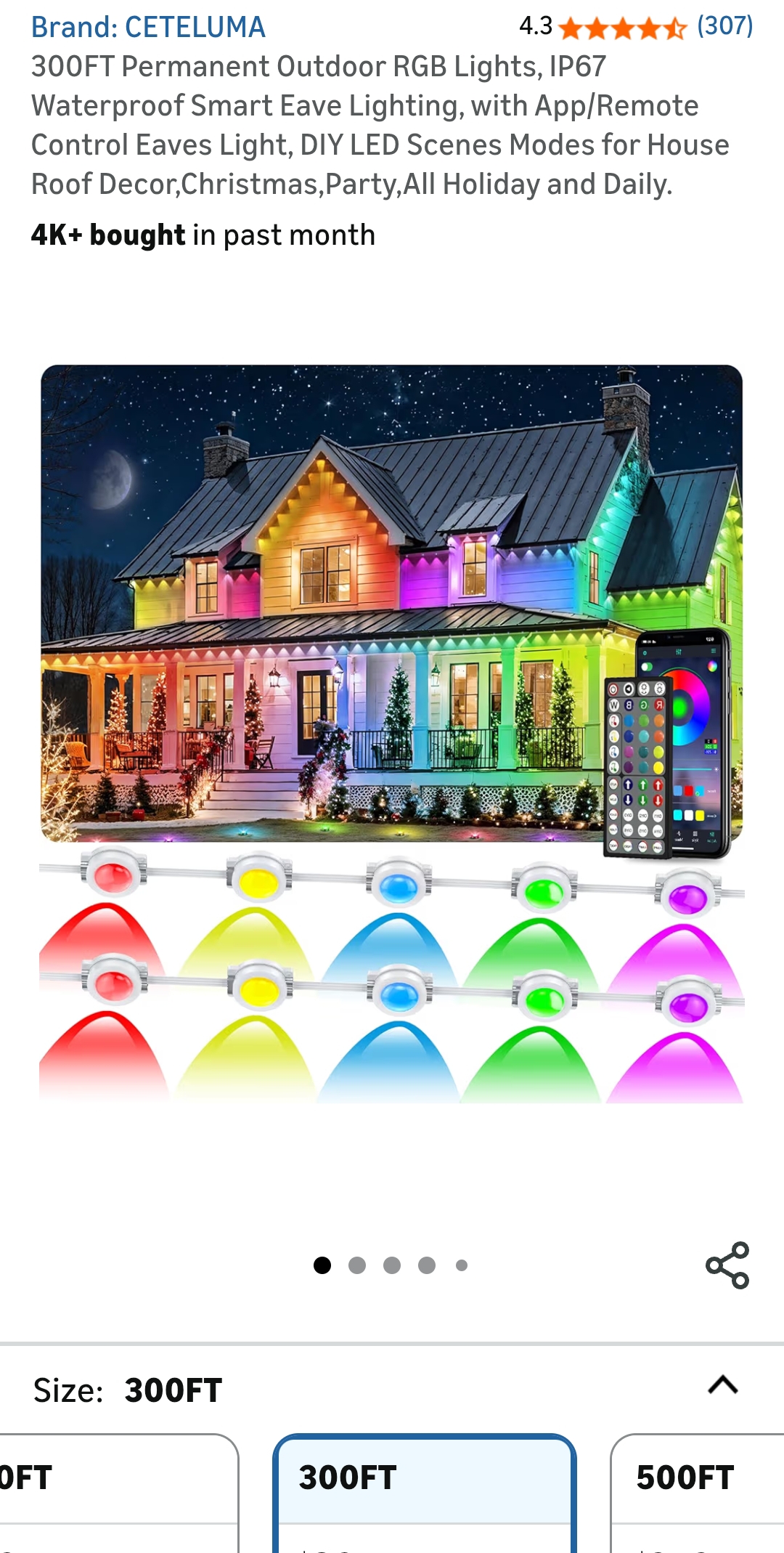 Permanent Outdoor Lights