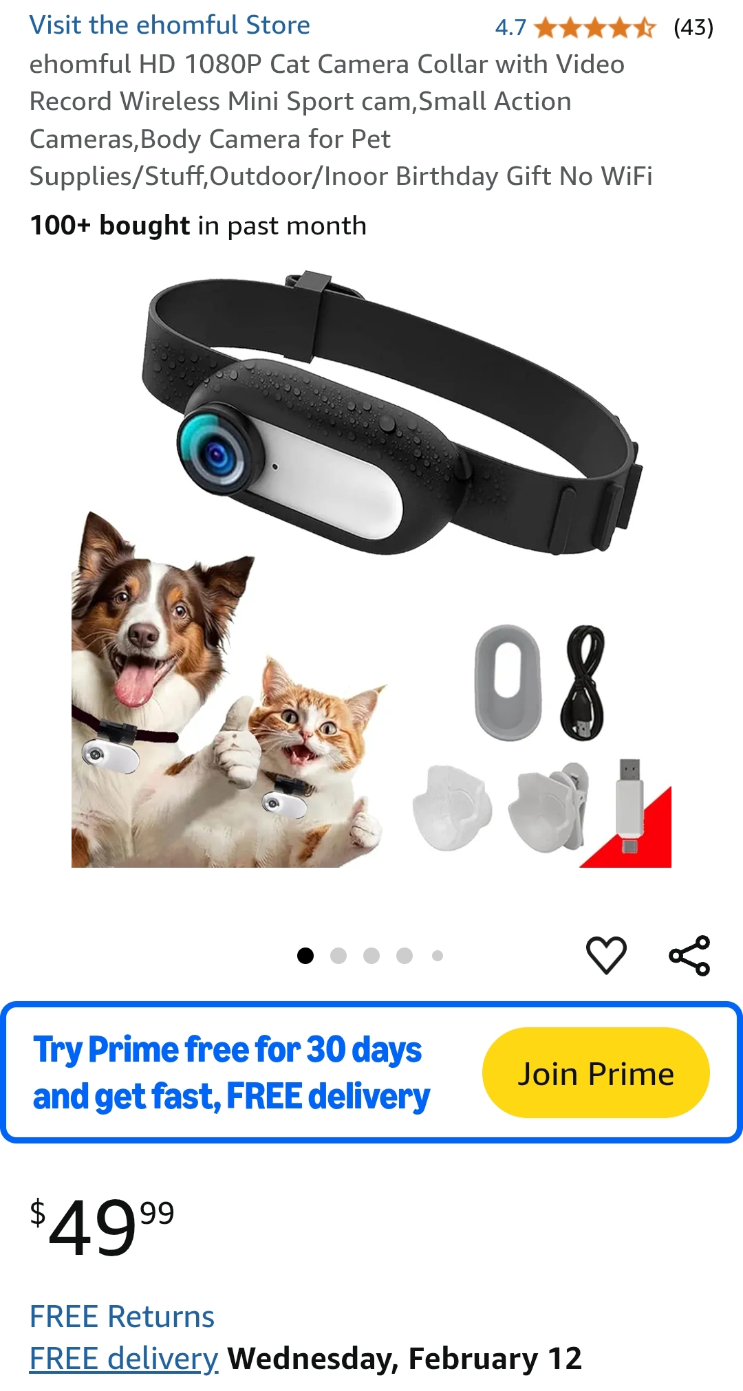 cat camera collar