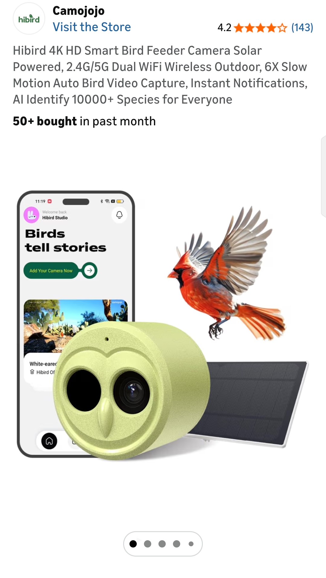 bird feeder with camera