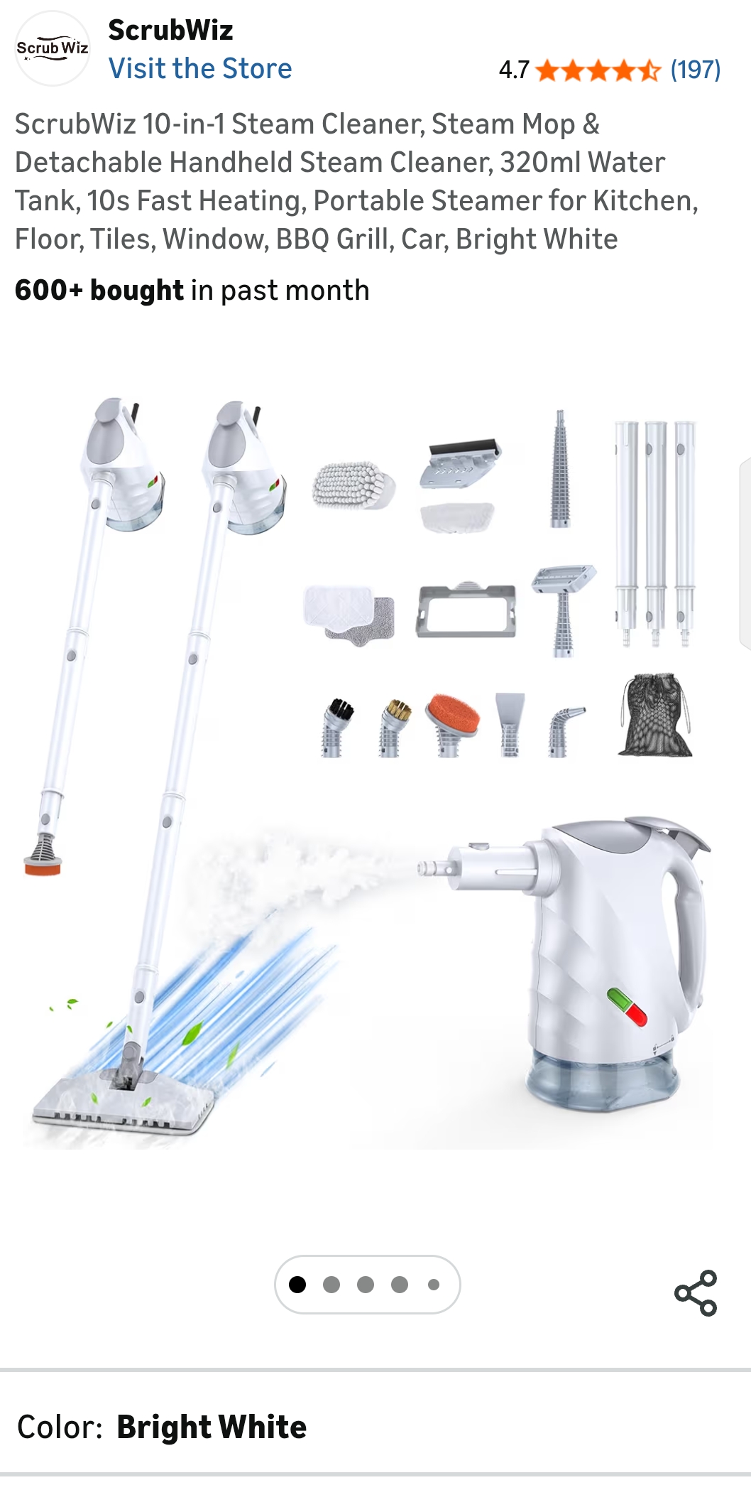 ScrubWiz 10-in-1 Steam Cleaner