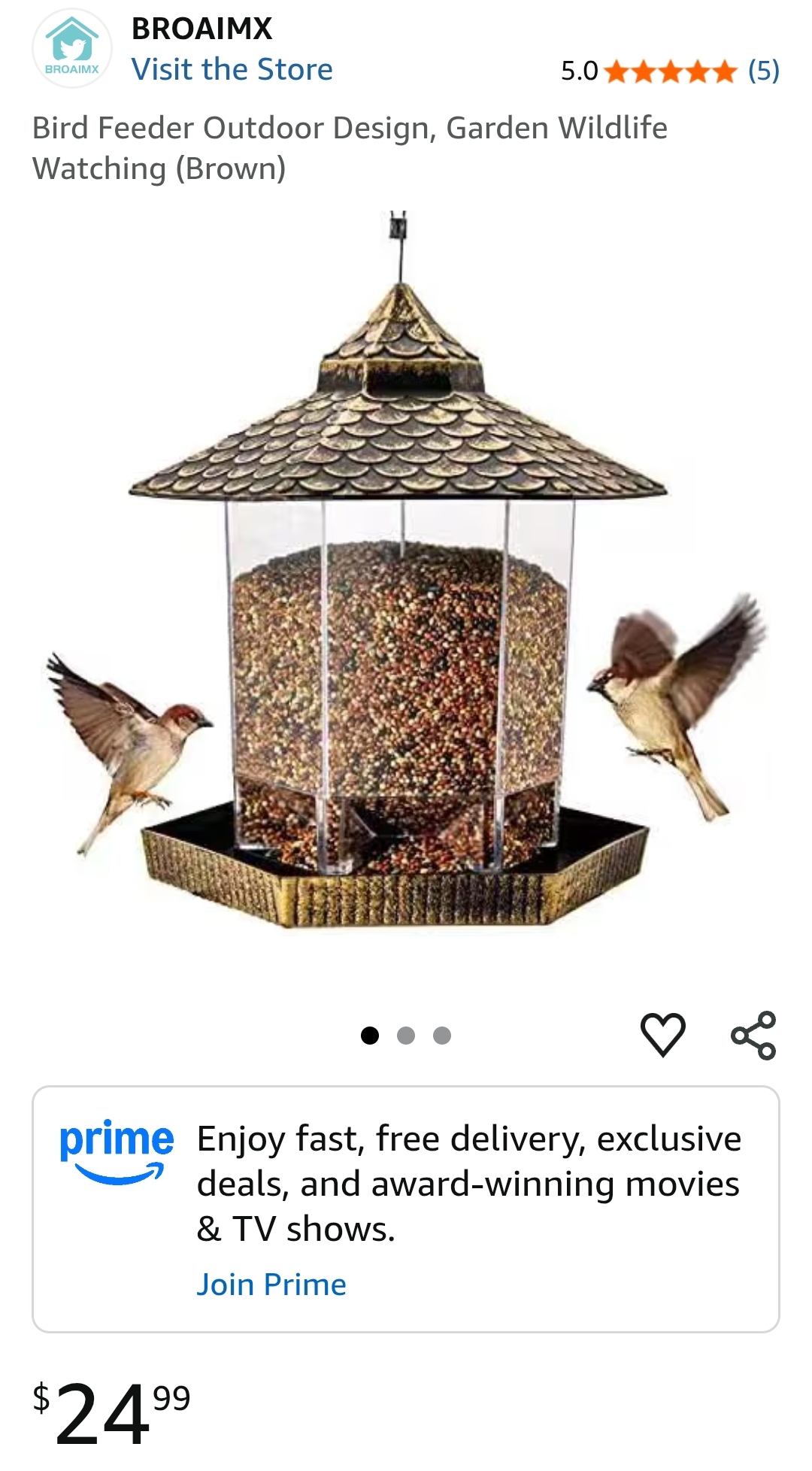 bird feeder with
