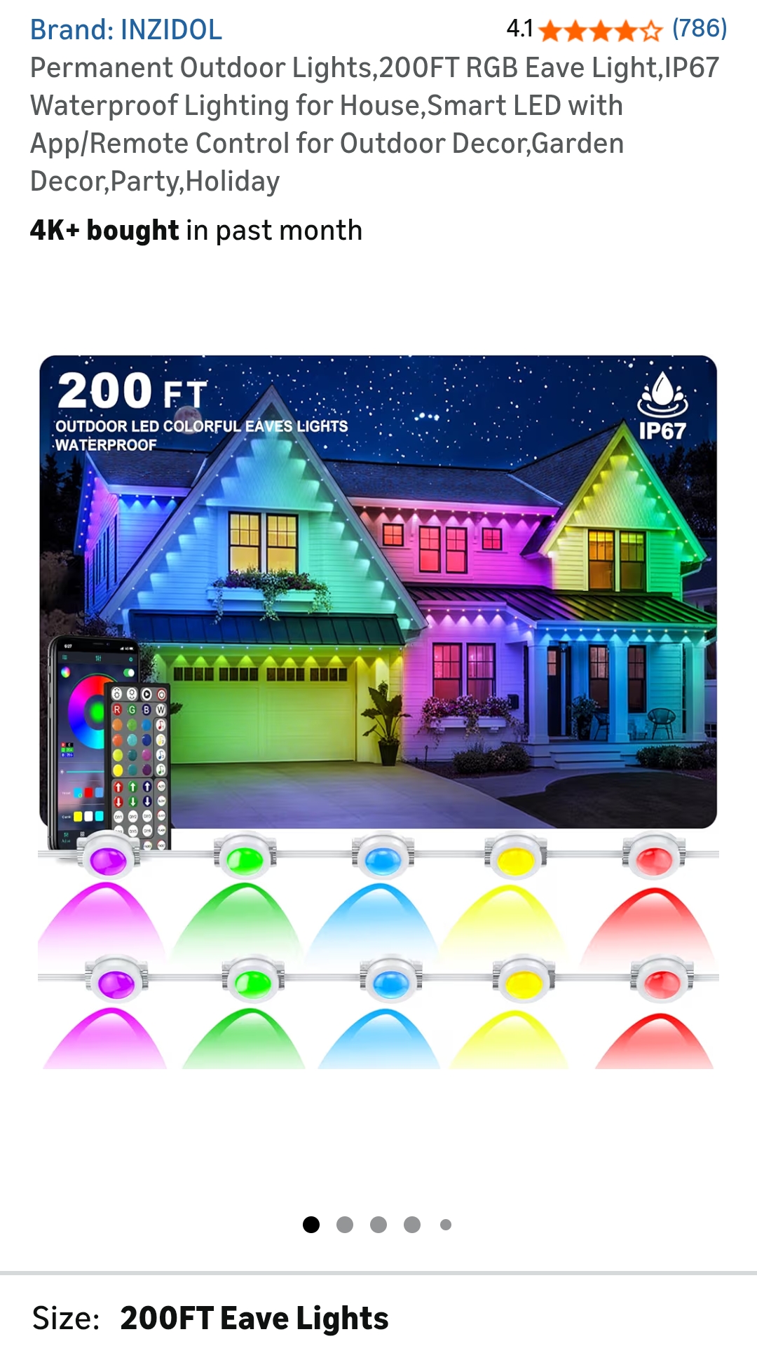 permanent Outdoor lights