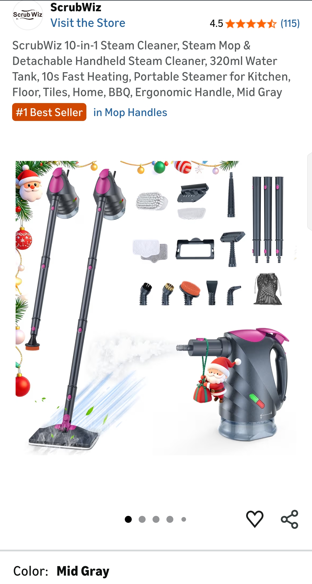 Steam Cleaner