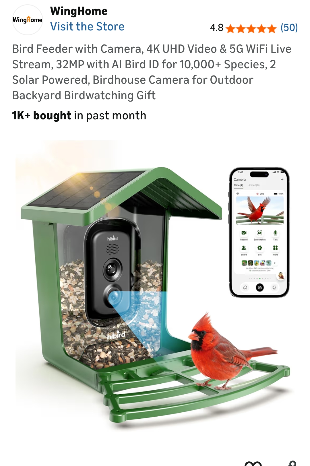 bird feeder with camera