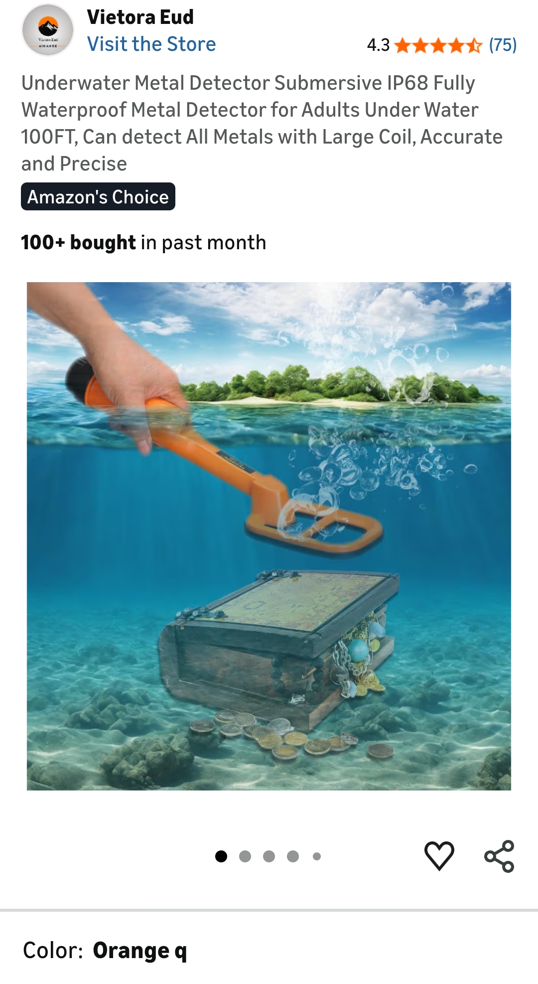 underwater metal detector