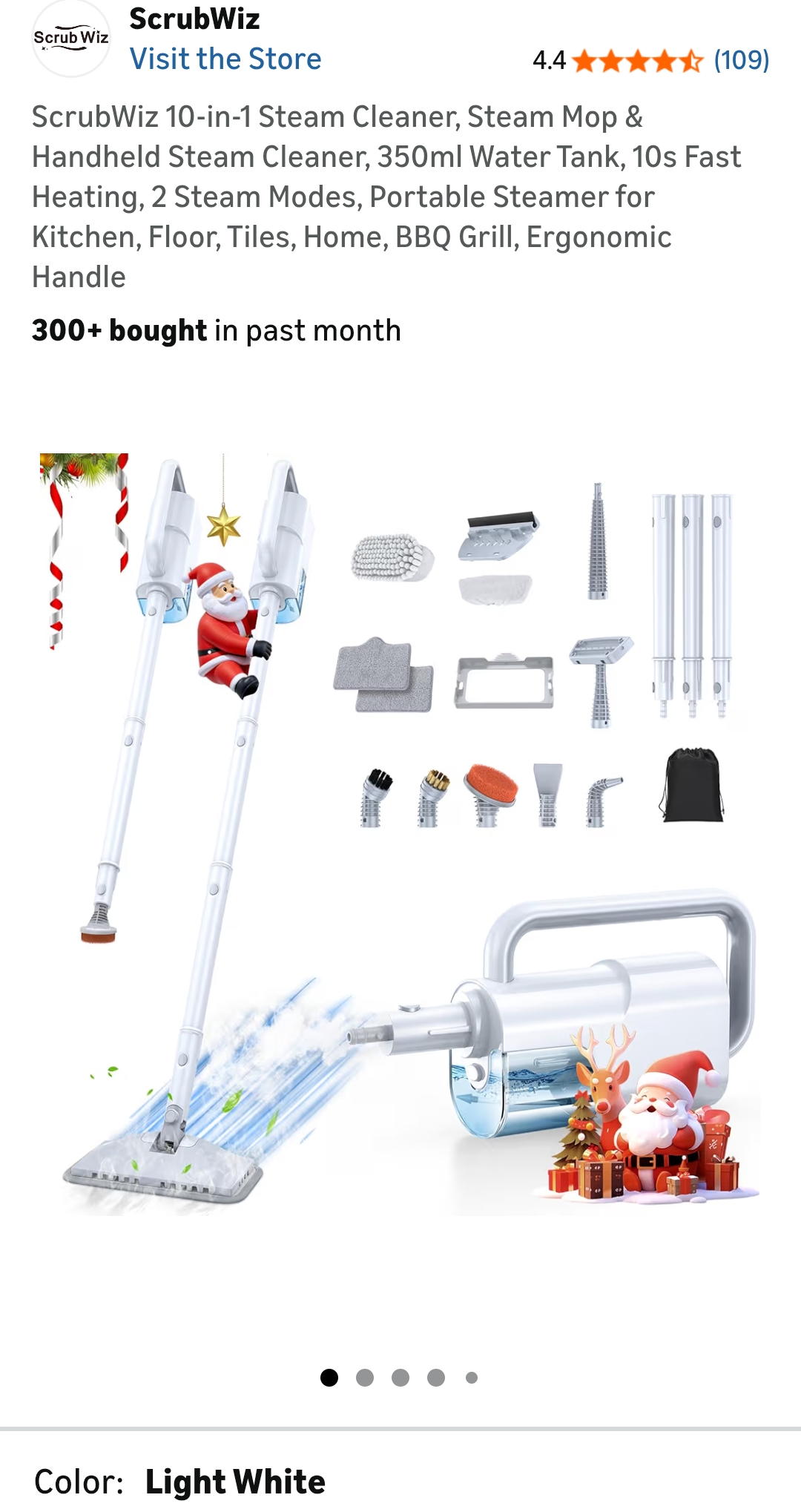Steam cleaner
